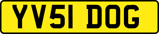 YV51DOG