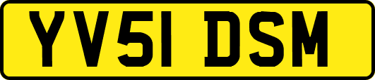 YV51DSM