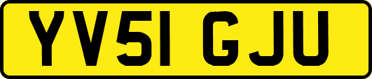 YV51GJU