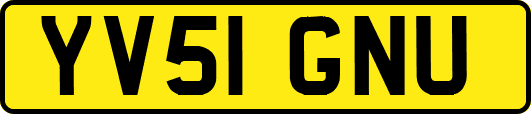 YV51GNU