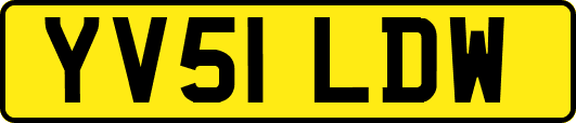 YV51LDW