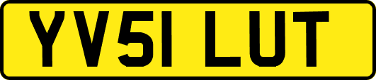 YV51LUT