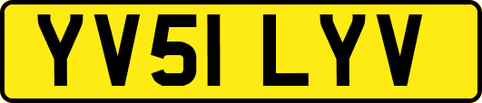 YV51LYV