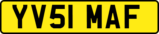 YV51MAF