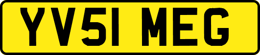 YV51MEG