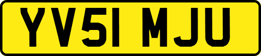 YV51MJU