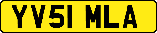 YV51MLA