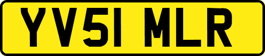 YV51MLR