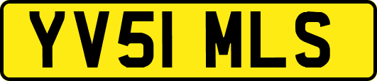 YV51MLS