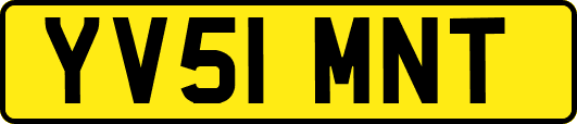 YV51MNT