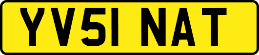 YV51NAT