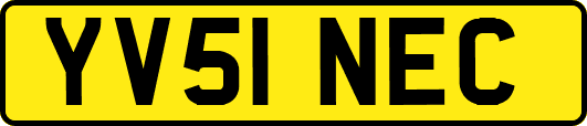 YV51NEC
