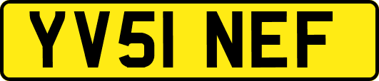YV51NEF