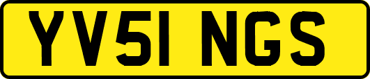 YV51NGS