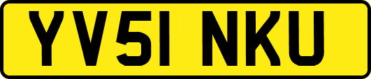 YV51NKU