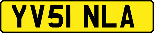 YV51NLA