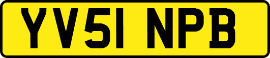 YV51NPB
