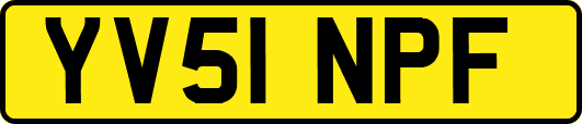 YV51NPF
