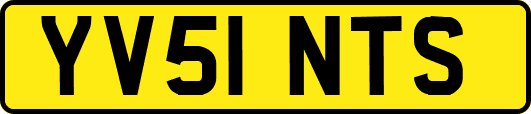 YV51NTS