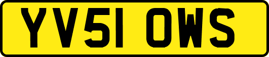 YV51OWS