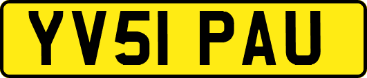YV51PAU