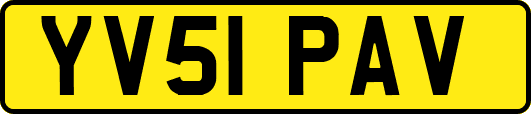 YV51PAV