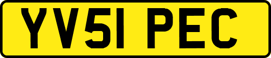 YV51PEC