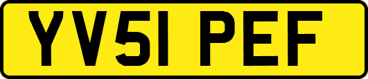 YV51PEF
