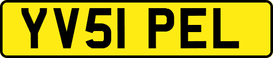 YV51PEL