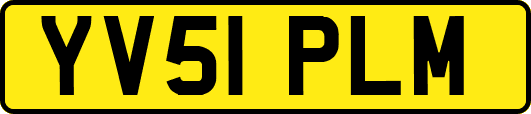 YV51PLM