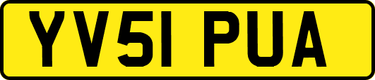 YV51PUA