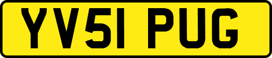 YV51PUG