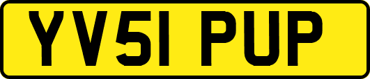 YV51PUP