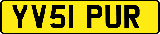 YV51PUR