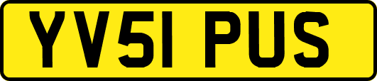 YV51PUS