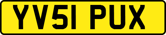 YV51PUX