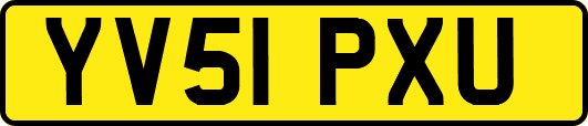 YV51PXU