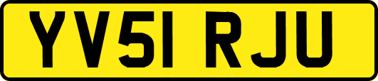 YV51RJU