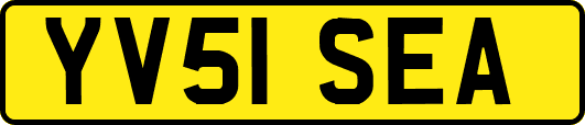 YV51SEA