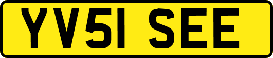 YV51SEE