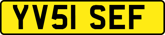 YV51SEF