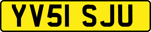 YV51SJU