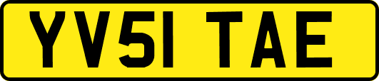 YV51TAE