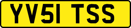 YV51TSS