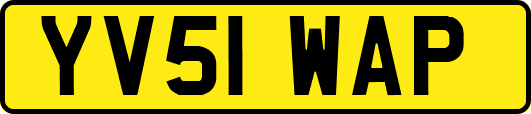 YV51WAP