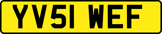 YV51WEF