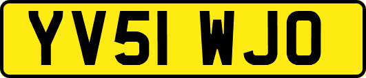 YV51WJO