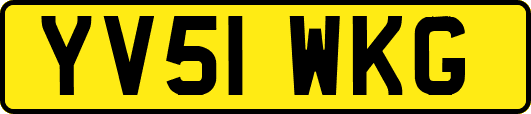 YV51WKG