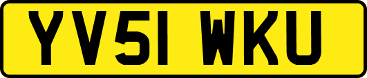 YV51WKU