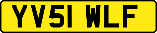 YV51WLF
